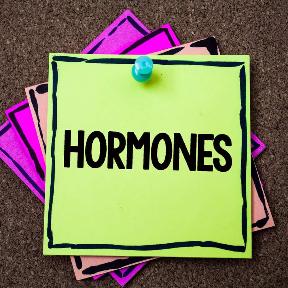 GLD blog hormonen